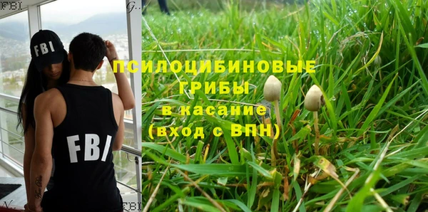 ECSTASY Богородицк