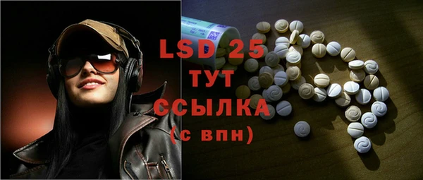 ECSTASY Богородицк