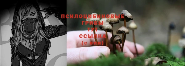 ECSTASY Богородицк