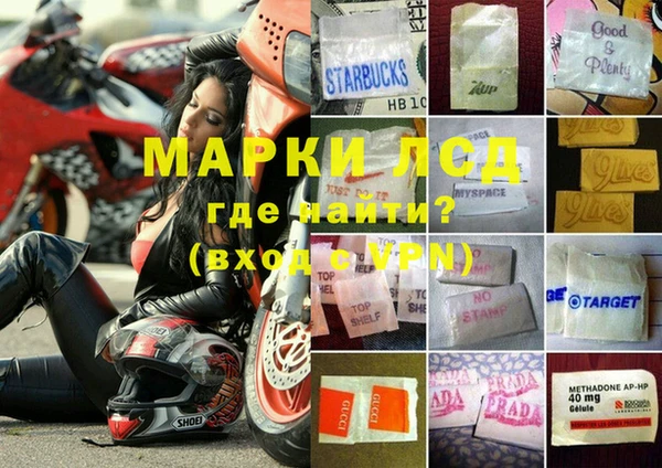 ECSTASY Богородицк