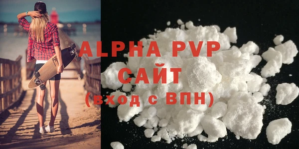 ECSTASY Богородицк