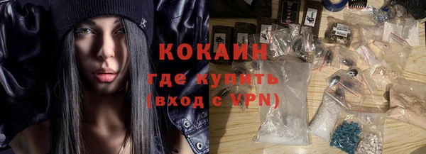 mdpv Богородск